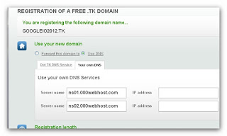 free domain setup