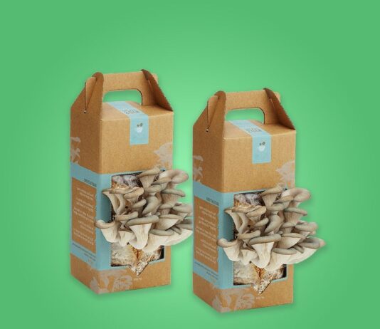 How to Get Custom Mushroom Boxes at a Discount?