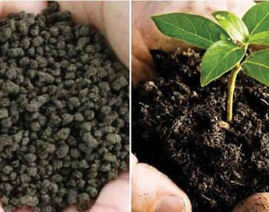 Global-Biofertilizers-Market