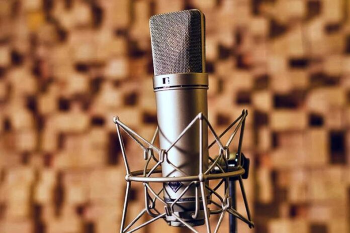 Global Condenser Microphones Market