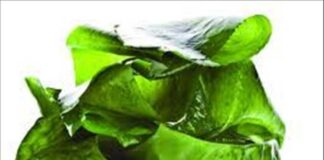 Global DHA from Algae Market