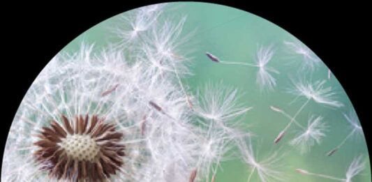 Global Eye Allergy Therapeutics Market