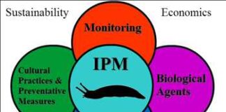 Global-Integrated-Pest-Management-IPM-Market