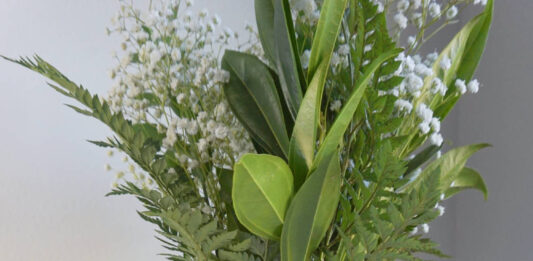 “Facial Deep Cleansing at Home – Tips and Techniques”