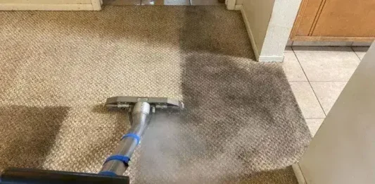 Which Carpet Cleaning Services in Gregory Hills Offer the Best Results?